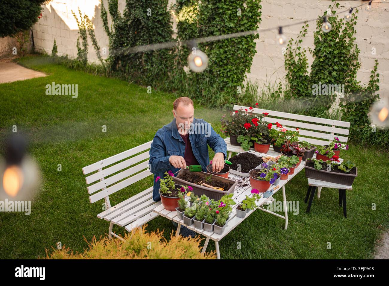 Gärtner pflegt Pflanzen in einem schönen Garten Stockfoto