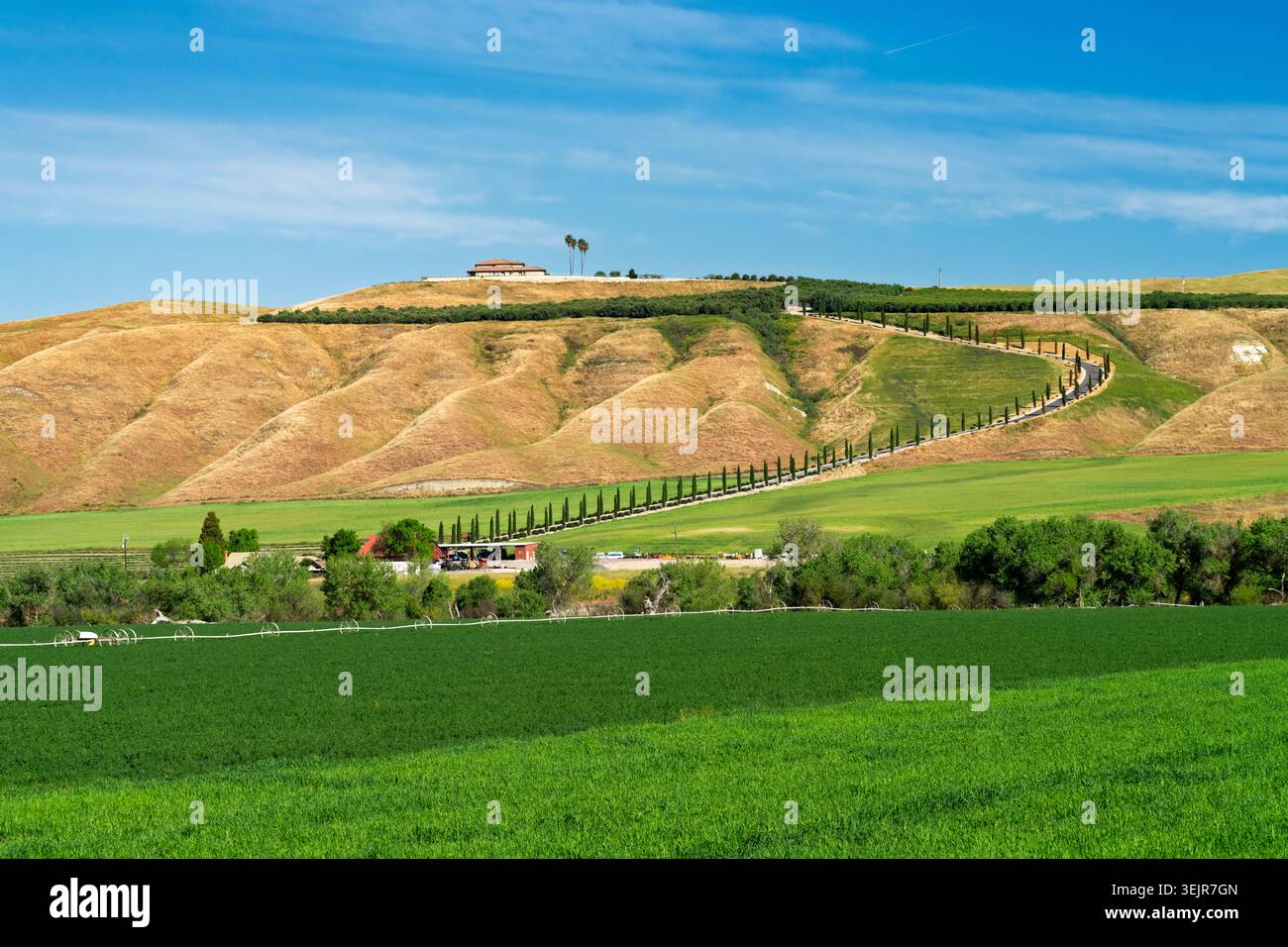 Landschaftlich reizvolle Landschaft in der Nähe von Simmler, Kalifornien, USA. Stockfoto