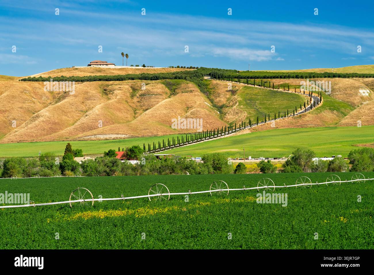 Landschaftlich reizvolle Landschaft in der Nähe von Simmler, Kalifornien, USA. Stockfoto