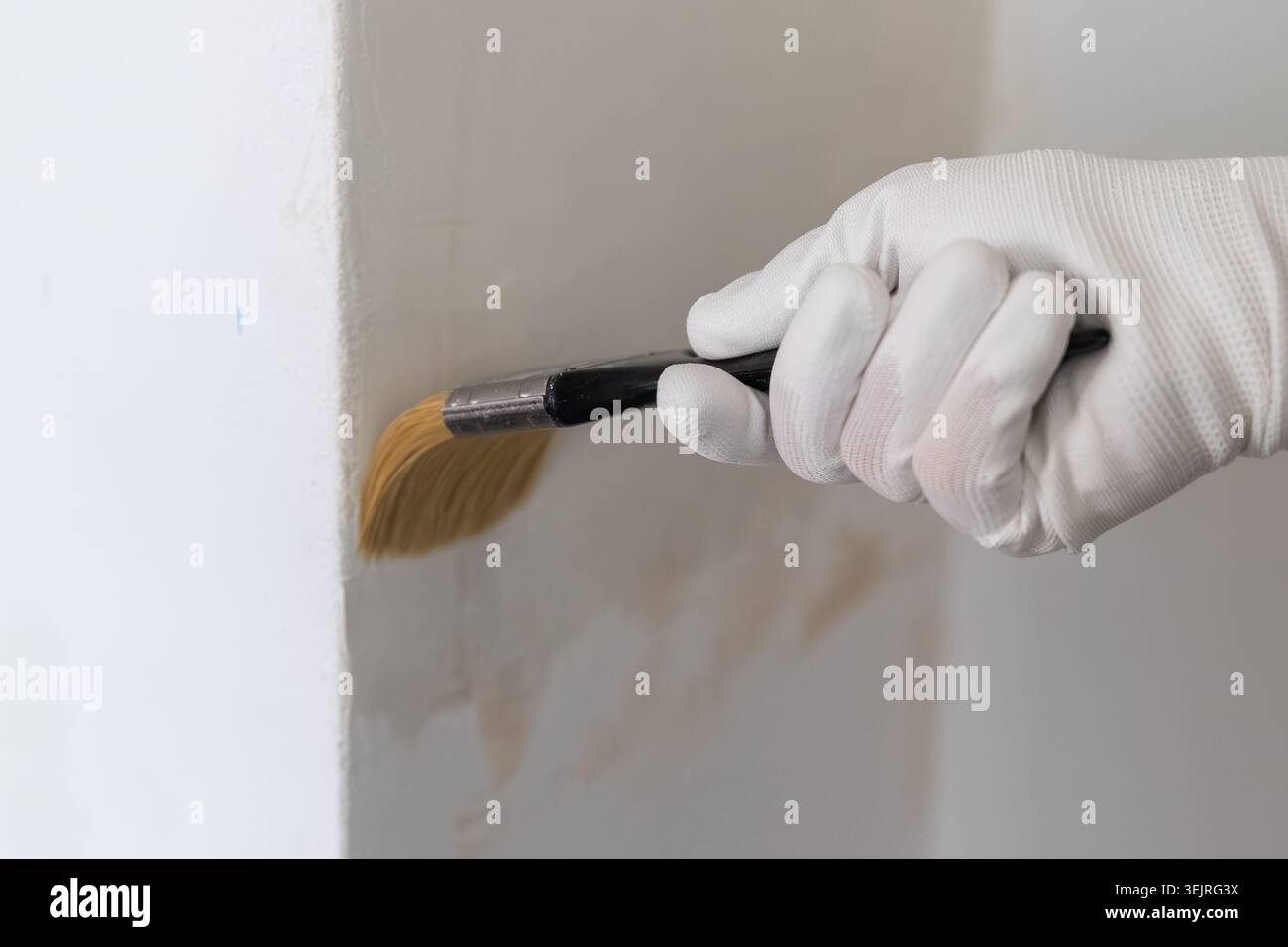 Tragen Sie Farbe mit einem feinen Pinsel auf eine Wand auf, um eine gleichmäßige Beschichtung für ein optimales Finish zu gewährleisten. Handschuhe arbeiten sorgfältig auf der sauberen, weißen Oberfläche. Stockfoto