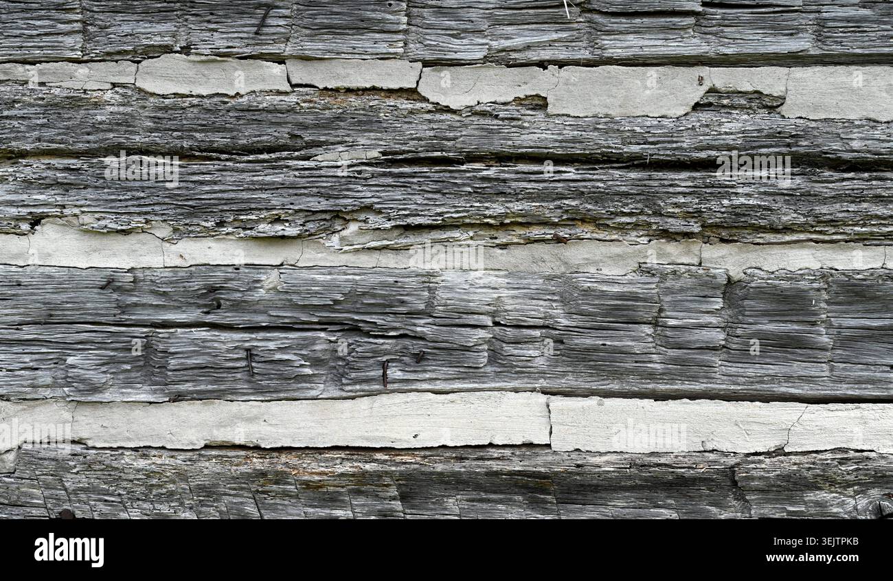 Horizontale Nahaufnahme einer verwitterten Blockhüttenwand mit flachen, rauen, gespaltenen Baumstämmen, weißen, breiten, geknickten Stämmen Stockfoto