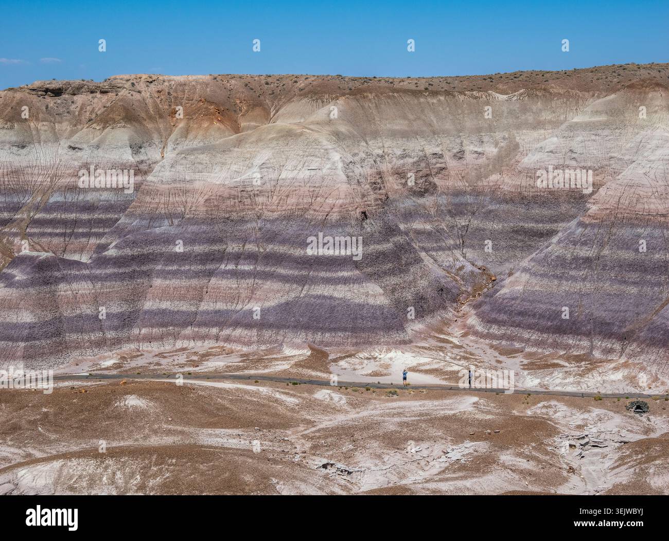 Blue Mesa Trail in den Badland-Hügeln aus bläulichem Bentonitton im Blue Mesa Abschnitt des Petrified Forest National Park in Arizona USA Stockfoto
