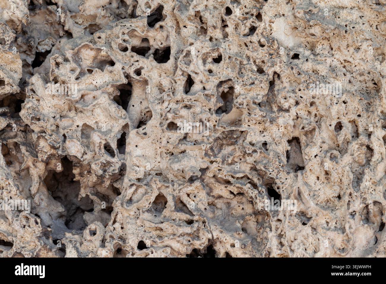 Sehr grobe Textur eines Makros aus Kalkstein Stockfoto