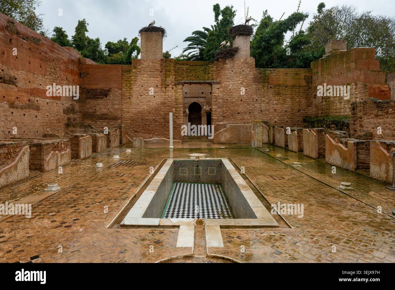 Die Ruinen des Chellah-Hofes in Rabat zeigen nasse Steinpflaster, Ziegelmauern, einen zentralen Pool, eine Bogenöffnung, Palmen, und Storch nistet nach Regen. Stockfoto
