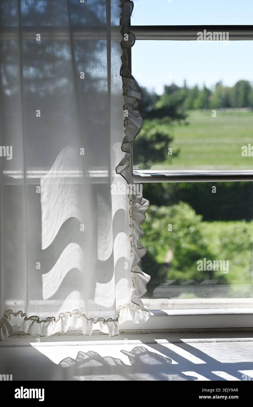 Eine ruhige Innenszene mit einem durchsichtigen weißen Vorhang, der sanft von Sonnenlicht beleuchtet wird und sanfte Schatten über eine Fensterbank wirft, während eine Erbse freigelegt wird Stockfoto