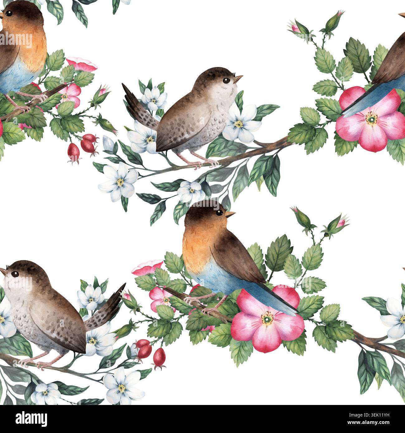 Nahtloses Aquarellmuster mit Hagebutten- und Jasminzweigen, robinvögeln und Zaunern. Handgemaltes botanisches Walddesign Stockfoto