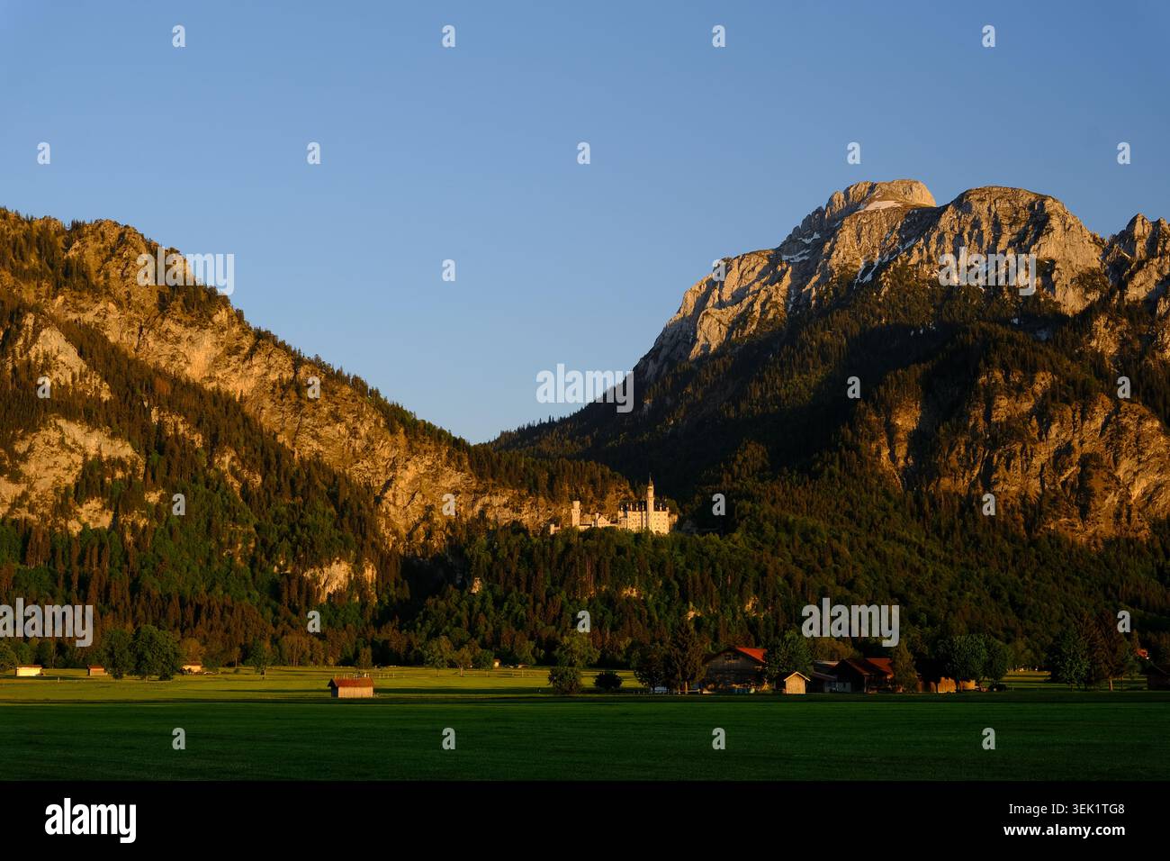 Schloss Neuschwanstein in der Abenddämmerung in Bayern, Deutschland, umgeben von bewaldeten Hügeln und den Alpen unter einem warmen Abendhimmel Stockfoto
