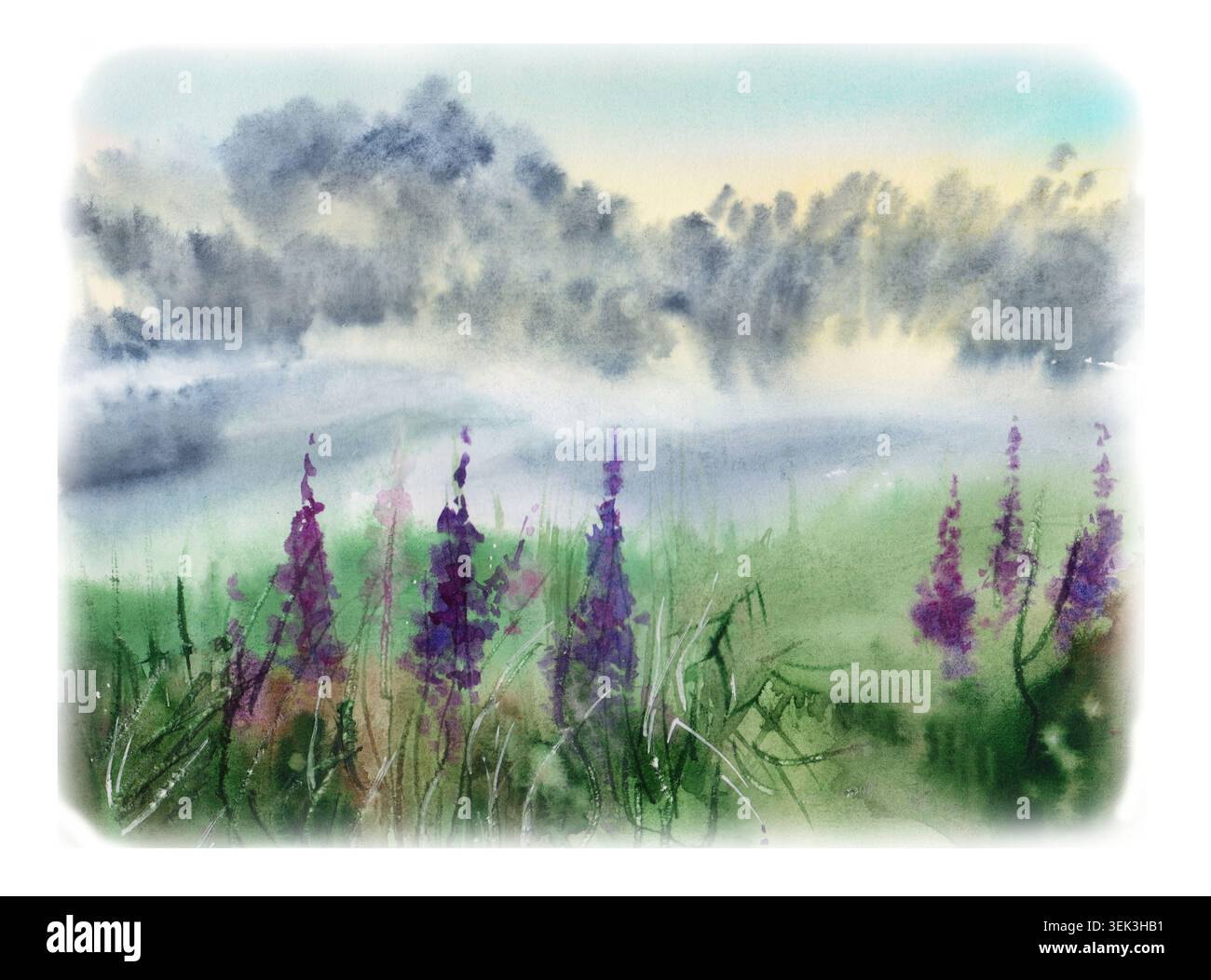 Aquarellabbildung eines nebeligen Bergfeldes mit purpurnen Lupinenblüten. Wunderschöne nebelige Almwiesen mit weit entfernten Waldbäumen Stockfoto