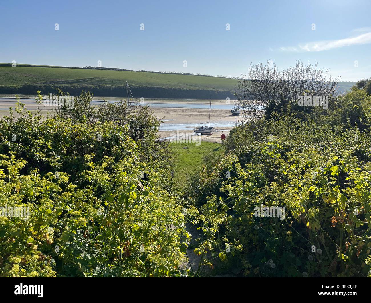 Blick auf die Gannel-Mündung in Newquay, Cornwall, England. - Smartphone-aufgenommenes Stockfoto