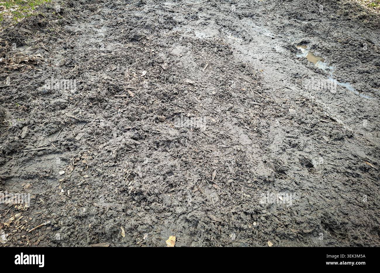 Feuchter, schlammiger Boden mit Pfützen und schmutzigem Boden. Es erfasst das Aussehen von Geländegelände nach schlechtem Wetter und Auftauen im Frühling und hebt den erdigen Text hervor Stockfoto
