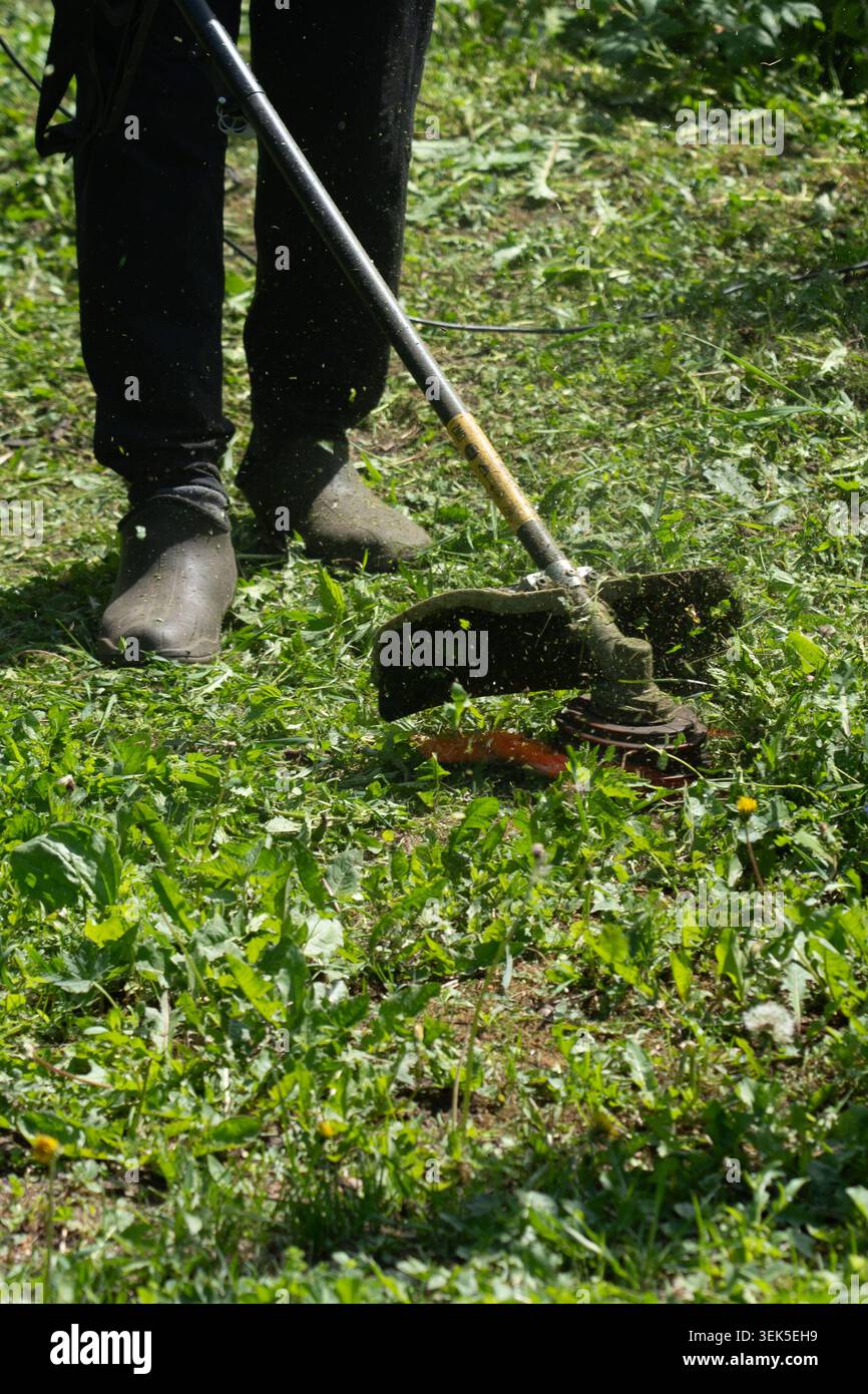Eine Nahaufnahme einer Person, die einen Schnur-Trimmer verwendet, um einen üppigen grünen Rasen zu pflegen und verwachsenes Gras und Unkraut in einem Wohngarten zu pflegen Stockfoto