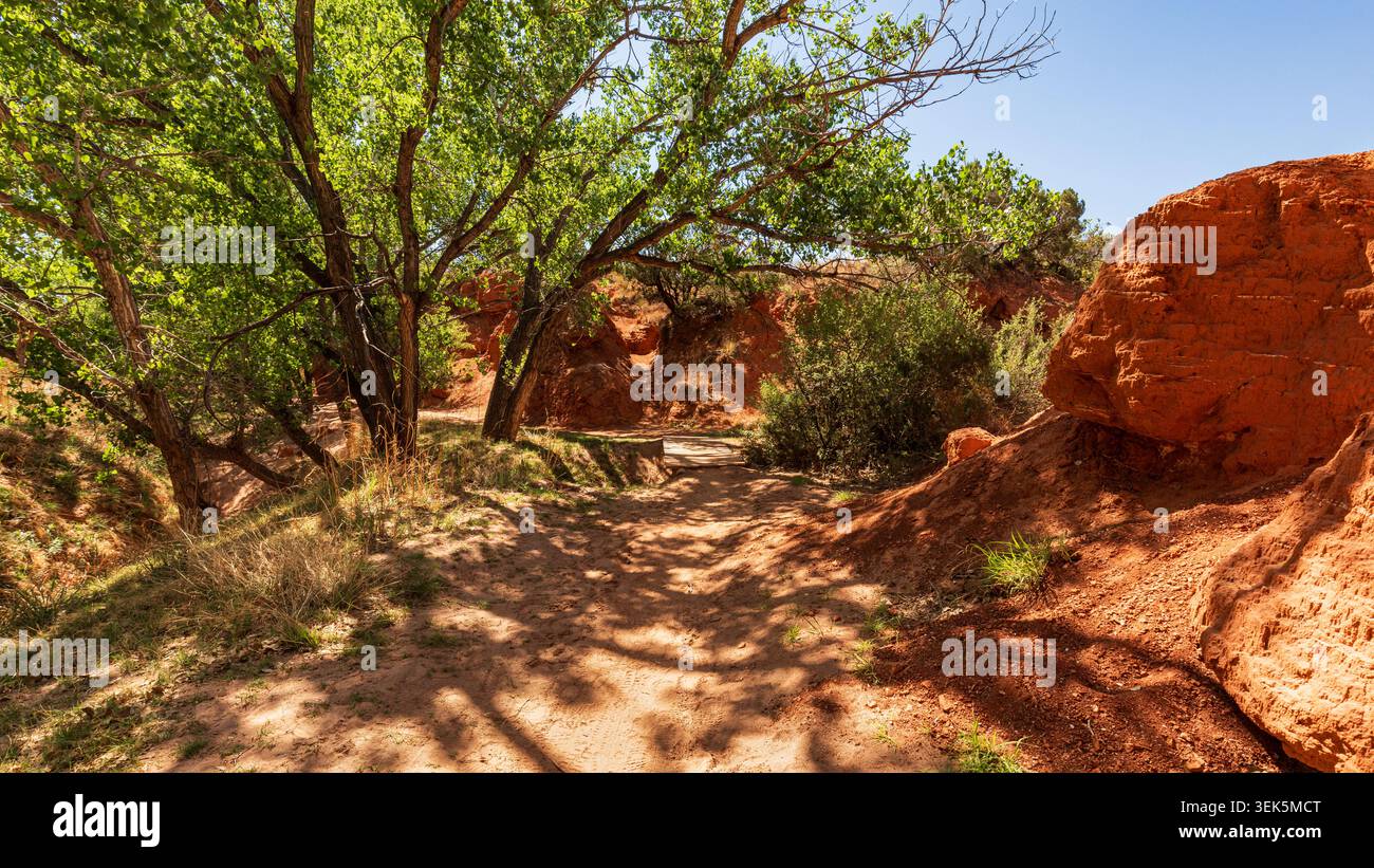 Red Rock Wanderweg durch den Palo Duro Canyon State Park im Texas Panhandle mit Bäumen, Wüstenpflanzen und Felsformationen an einem sonnigen Tag Stockfoto