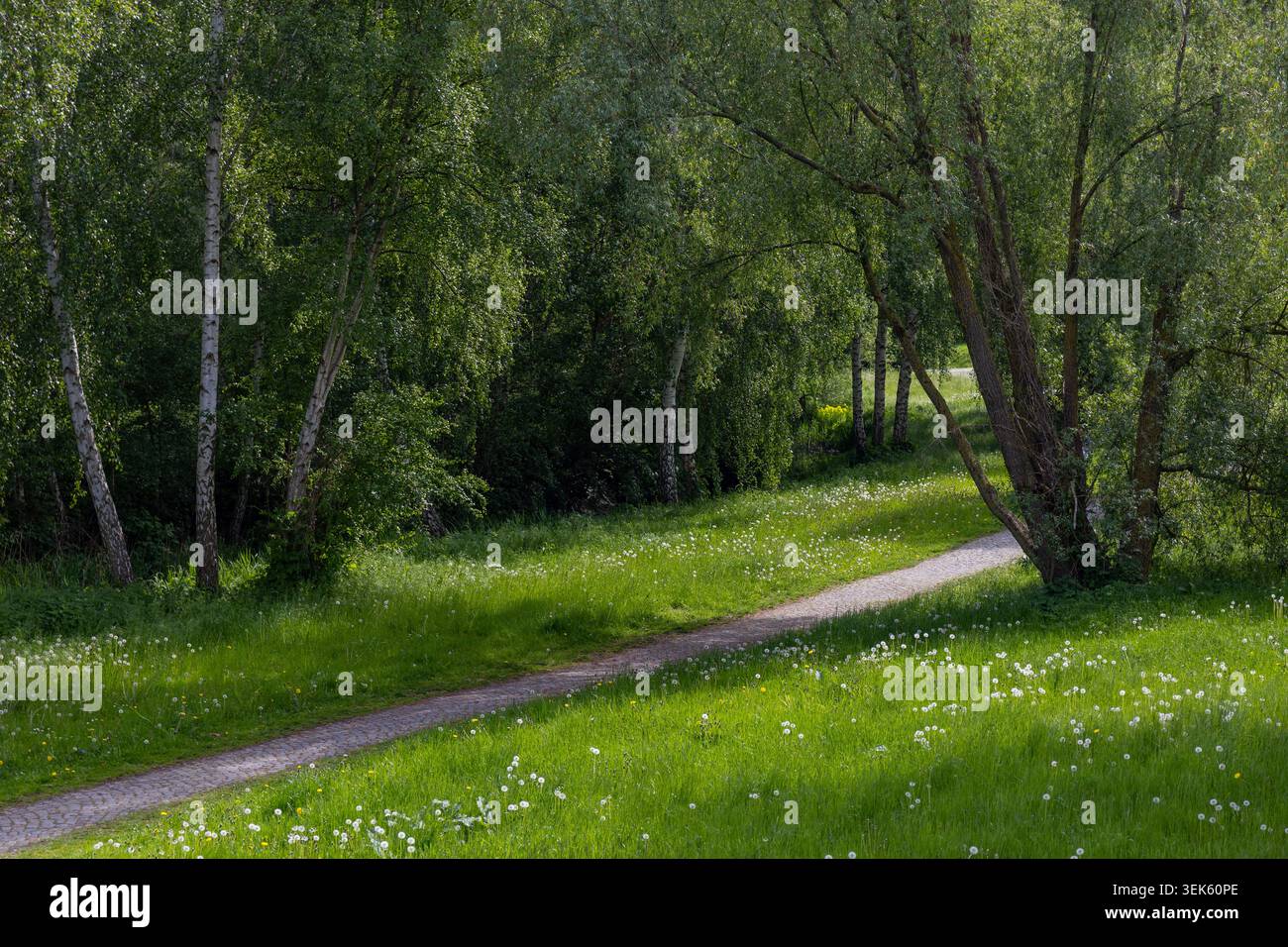 Wiesenweg im Wald und im offenen Grasland. Öffentlicher Park Stockfoto