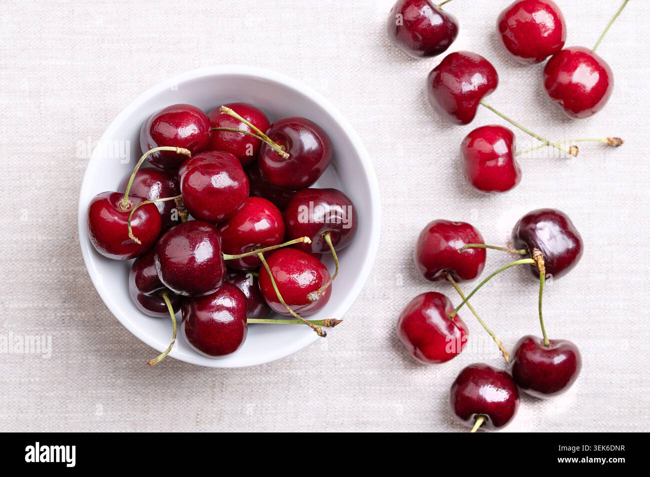 Frische Kirschen in einer weißen Schüssel auf Leinen. Verzehrfertig, rote und reife Früchte der echten Kirschart Prunus avium, eine Steinfrucht. Stockfoto