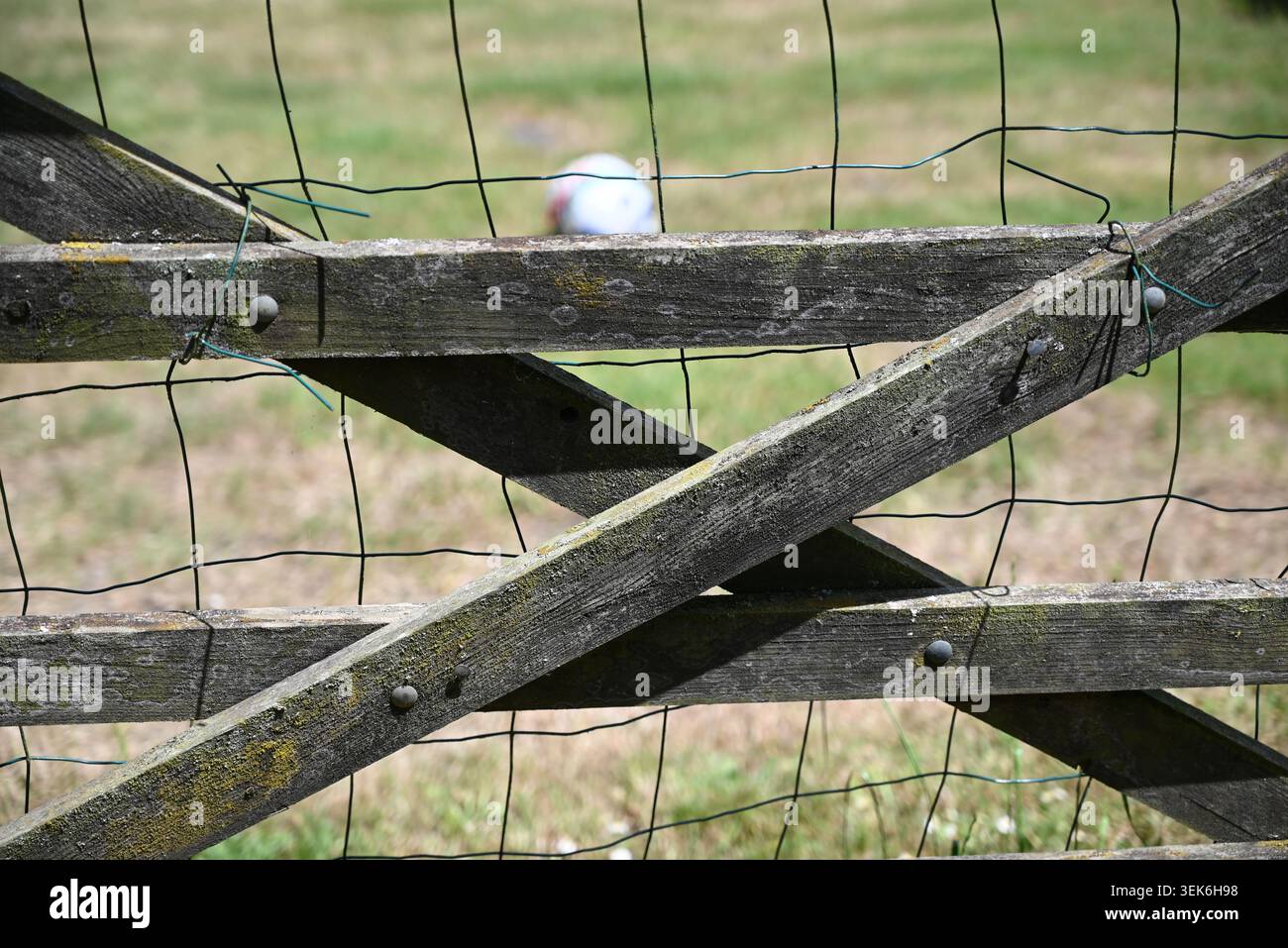 Altes 5-Bar-Tor mit Drahtzaun Stockfoto
