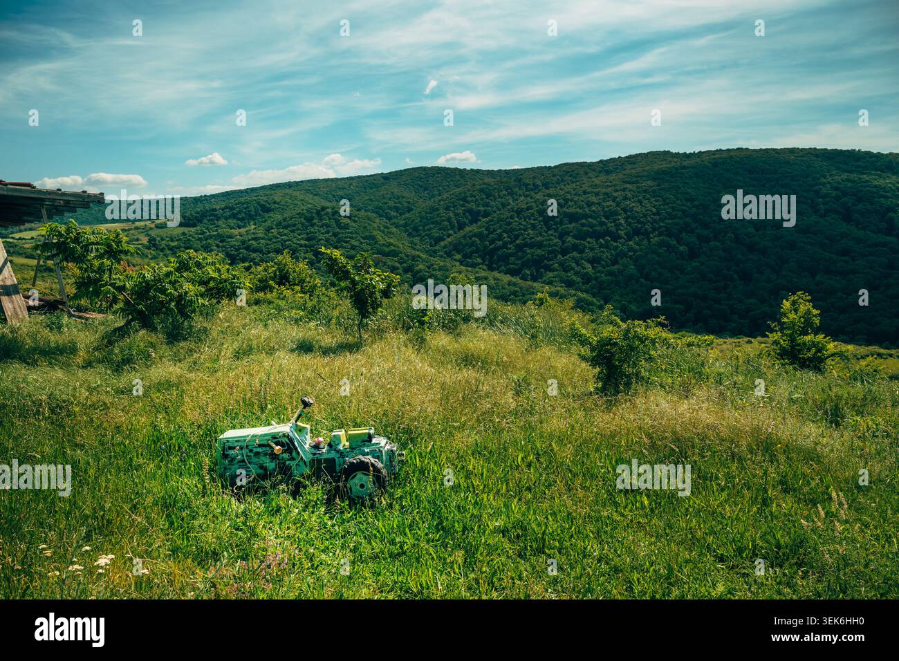 Altes landwirtschaftliches Traktorspielzeug auf grüner Wiese mit Panoramablick auf die Wälder unter blauem Himmel, friedliche ländliche Landschaft, selektiver Fokus Stockfoto