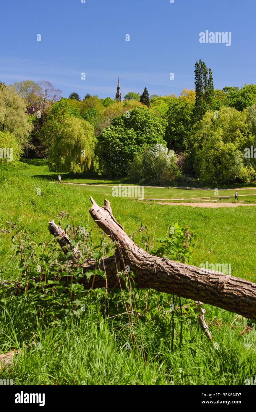 Hampstead Heath - Landschaft Stockfoto