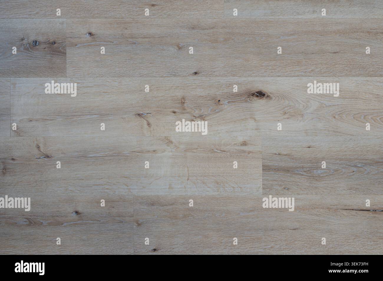 Ansicht von oben auf eine klare helle Holzbodenstruktur, natürliches Laminat oder Parkettdielen Hintergrund mit Kopierraum Stockfoto