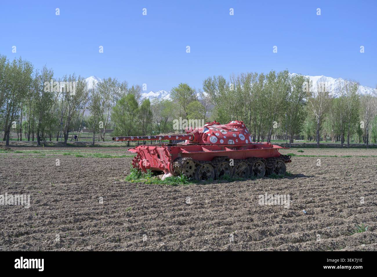 Der umgesetzte sowjetische Panzer, rot mit Polka-Punkten bemalt, sitzt auf einem bebauten Feld mit grünen Bäumen und schneebedeckten Bergen Stockfoto