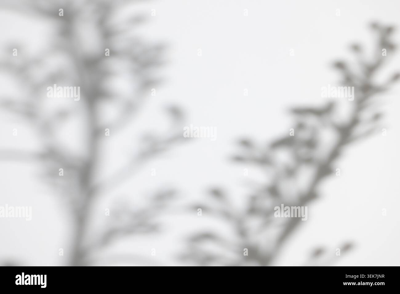 Minimalistische Verschwommene Äste. Geeignet für neutrale Hintergründe, Overlays, Präsentationen, Poster, Webdesign, Branding und moderne kreative Layouts. Stockfoto