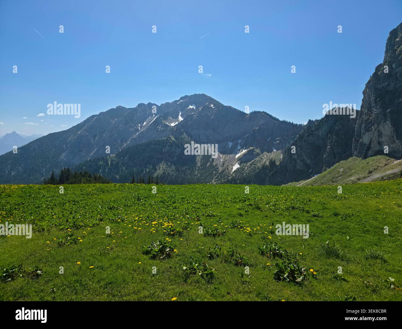 Deutschland, endlose alpine Horizonte über blühenden Almen fesseln die Schönheit der perfekten Sommerwanderungen Stockfoto