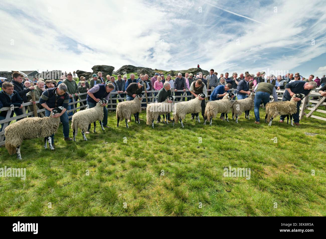 Die 71. Jährliche Tan Hill Open Swaledale Sheep Show, die am 28. Mai 2026 im Tan Hill Inn (Großbritanniens höchstes öffentliches Haus) in North Yorkshire stattfindet. Stockfoto