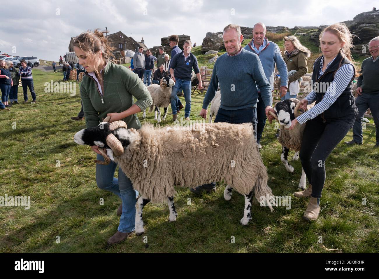 Die 71. Jährliche Tan Hill Open Swaledale Sheep Show, die am 28. Mai 2026 im Tan Hill Inn (Großbritanniens höchstes öffentliches Haus) in North Yorkshire stattfindet. Stockfoto