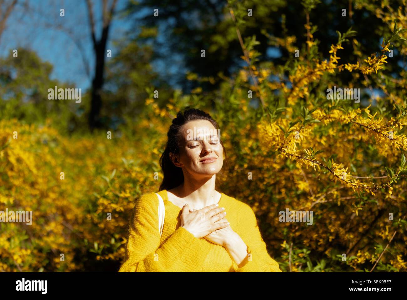 Eine Frau mittleren Alters steht inmitten einer blühenden Forsythie, die Augen geschlossen in einem Moment der ruhigen Reflexion. Eine schöne visuelle Darstellung von Achtsamkeit Stockfoto