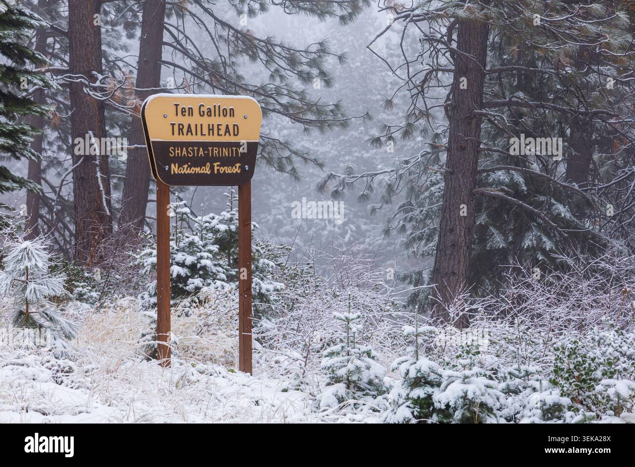 10 Gallonen Trailhead Schild, das im Winter in einem schneebedeckten Wald steht Stockfoto