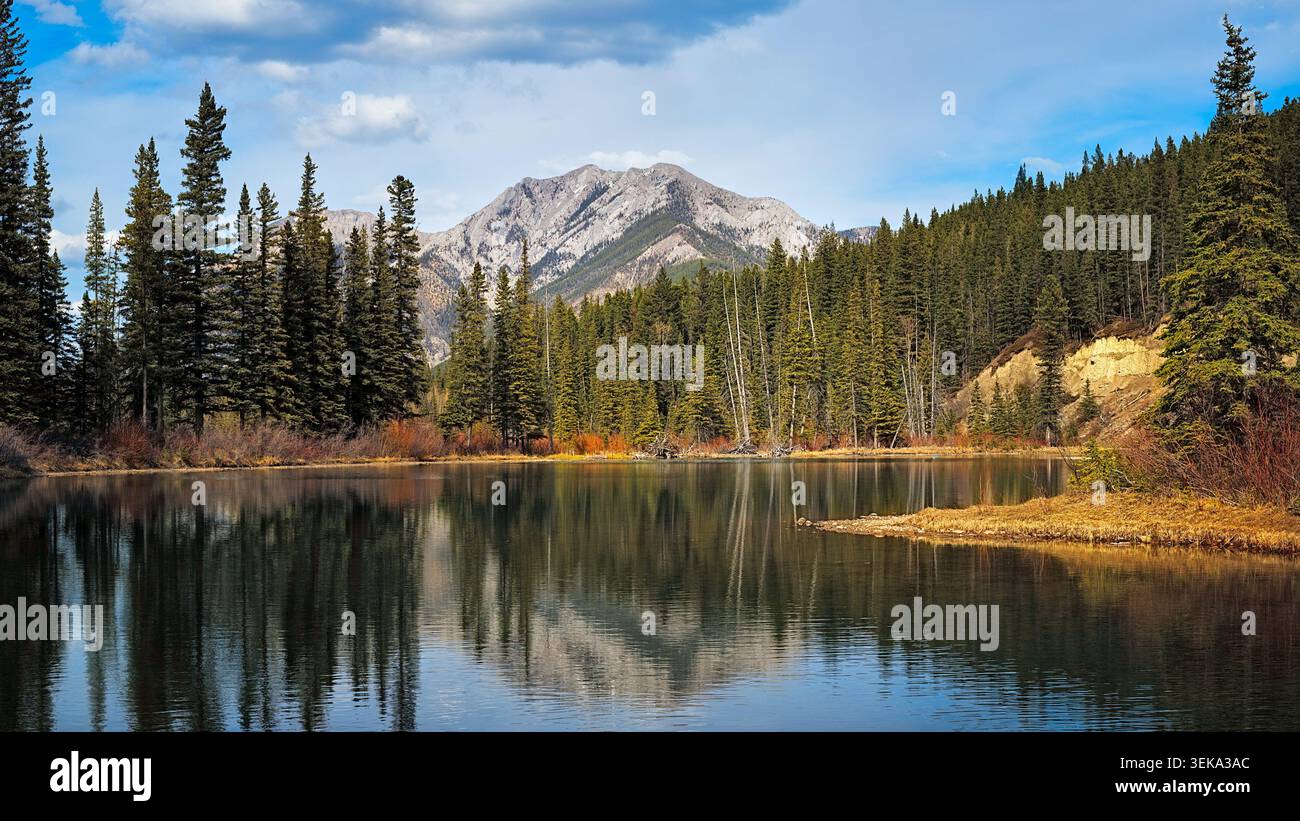 Ruhiger Bergwald und tiefgrüner See, der den blauen Himmel und die Natur reflektiert Stockfoto