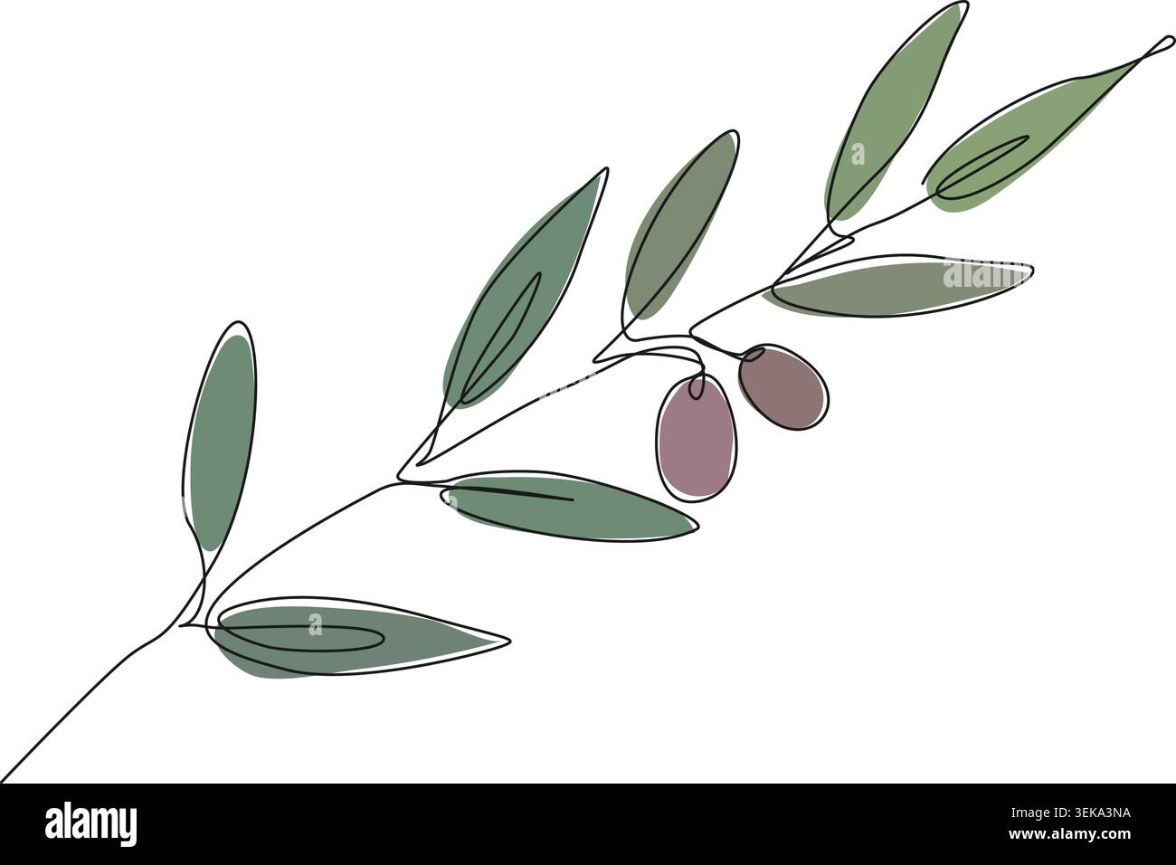 Minimalistische durchgehende Linienzeichnung des Olivenzweigs mit grünen Blättern und Oliven, abstrakte botanische Linie Kunst Vektor Illustration Stock Vektor