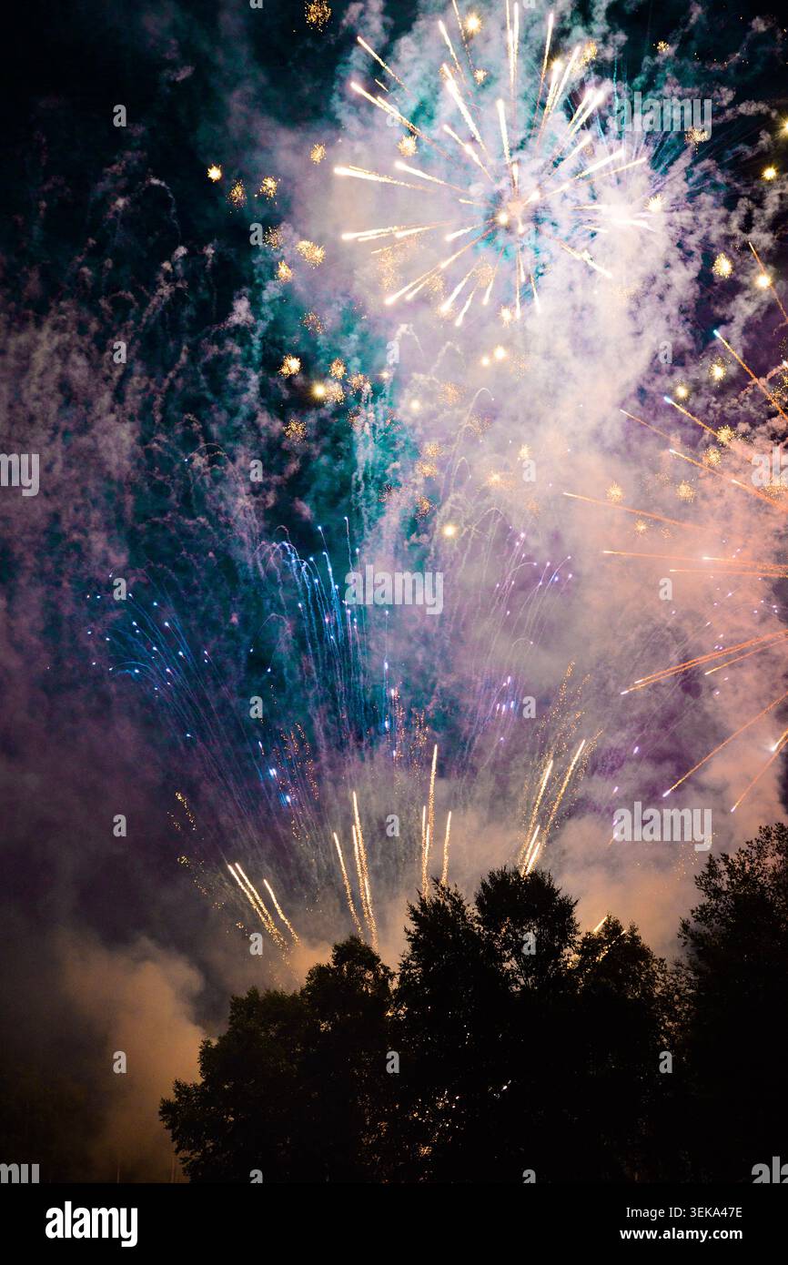 Feuerwerk-Show im PNW Stockfoto