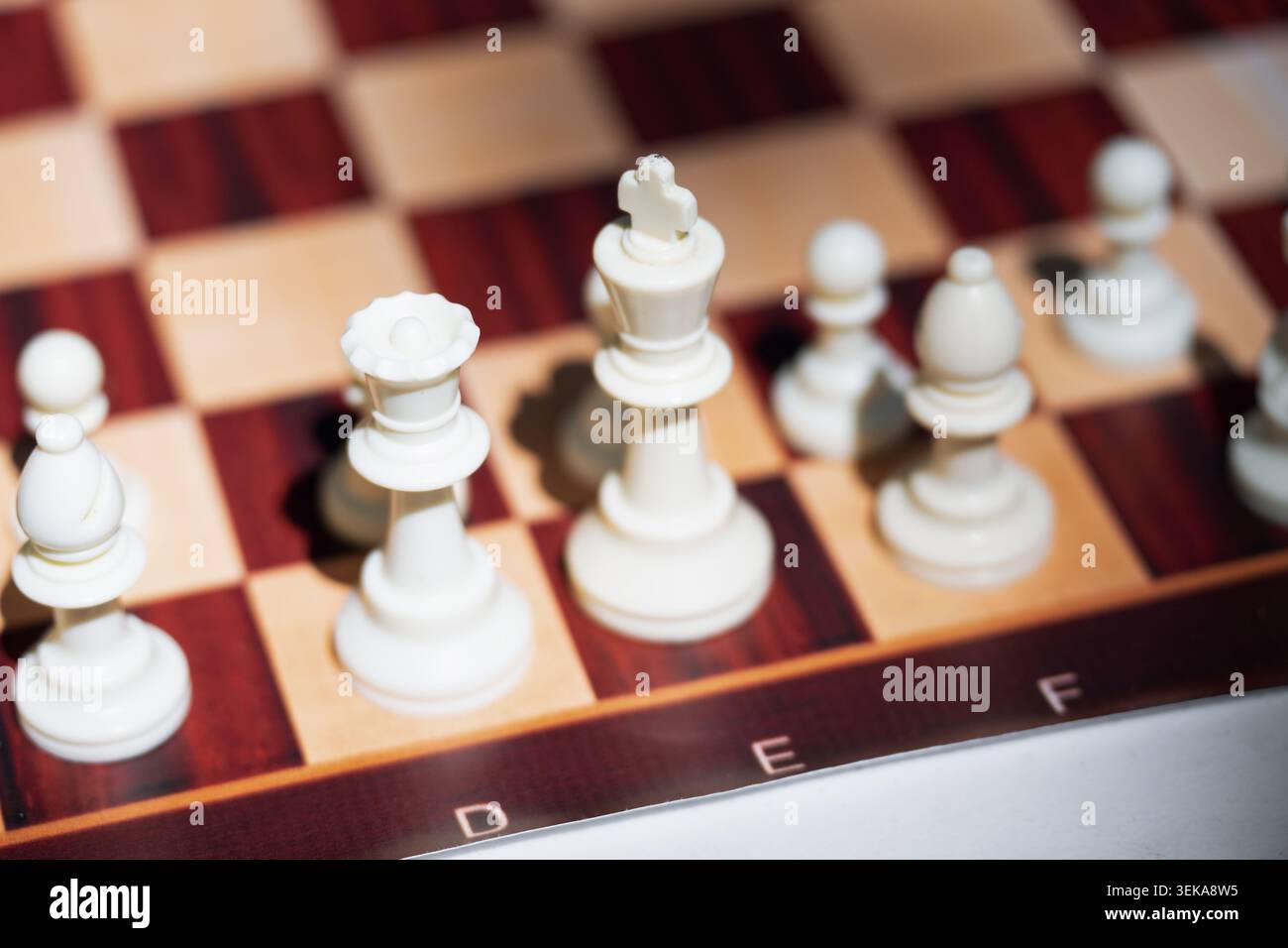 Hochwinkelansicht der weißen Schachfiguren, die während eines Spiels auf einem hölzernen Schachbrett angeordnet sind Stockfoto