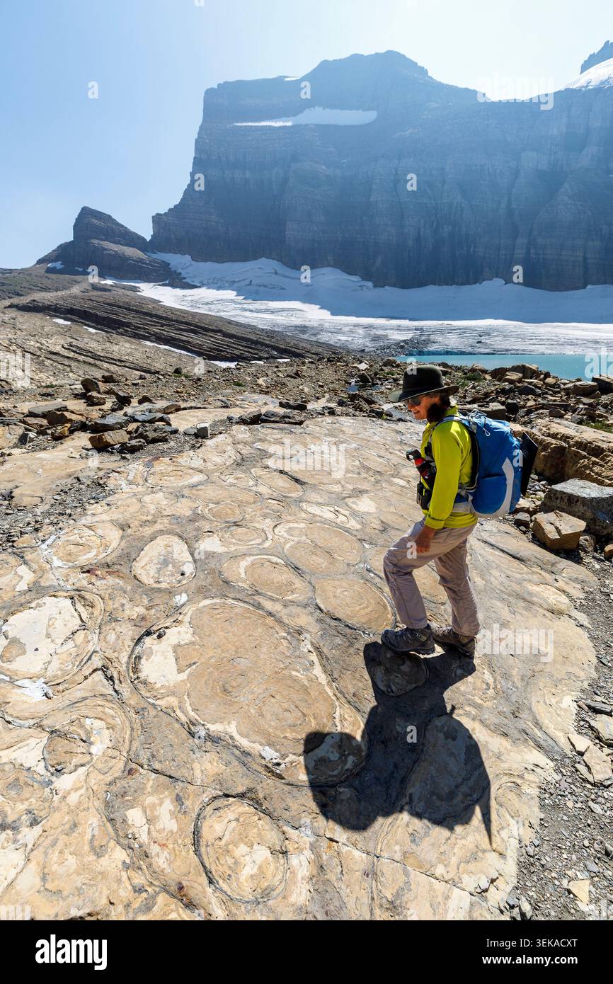 Wanderer auf gemusterten Felsen, Upper Grinnell Lake, Glacier National Park, Monrtana, USA Stockfoto