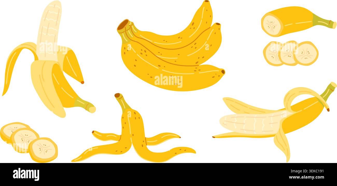 Bananenvektor-Clipart-Bündel mit Bananen, halb geschälten Früchten, geschnittenen runden Stückchen, leeren Bananenschalen. Flaches Illustrationsset für tropische Lebensmittel-Branding, Verpackung, Rezeptdesign Stock Vektor
