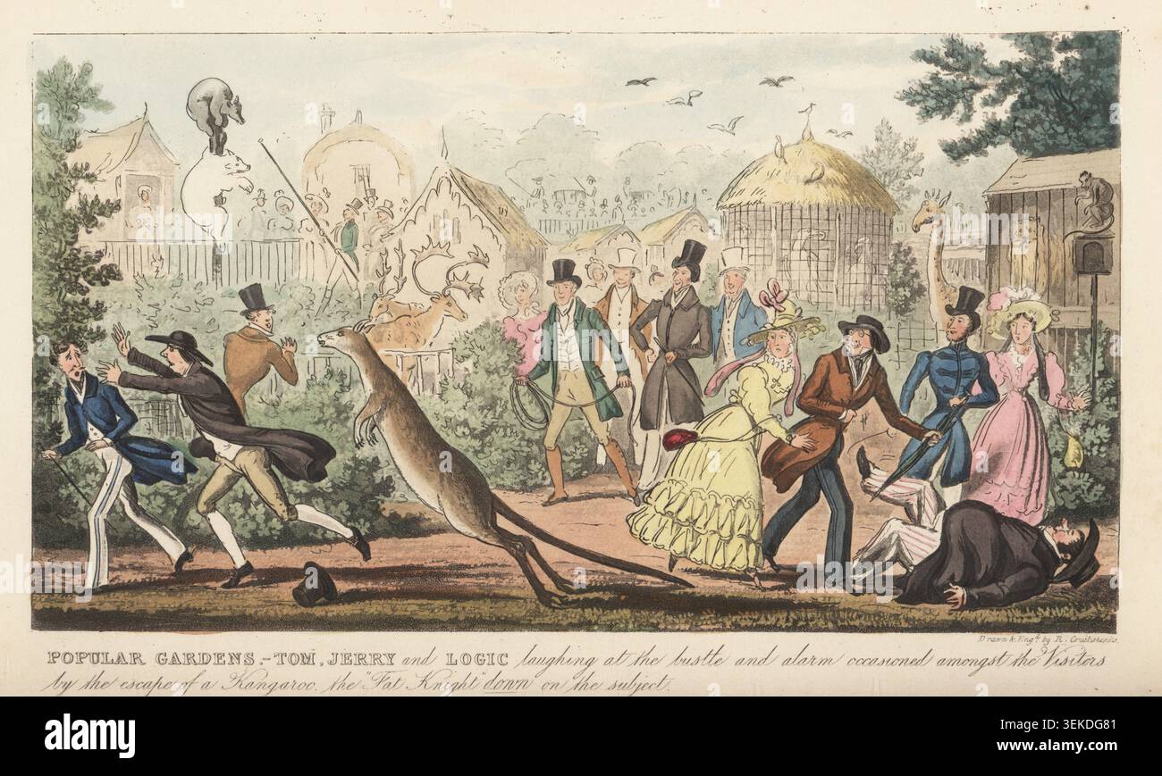 Regency Gentlemen besuchen die Gärten der Zoologischen Gesellschaft, Regent's Park, London. Ein fettleibiger Mann fällt, als ein Tierpfleger ein Seil bringt, um das entflohene Tier zu fangen. Ein anderer Wächter sticht Schwarze und Eisbären in die Bärengrube. Mit kreisförmiger Voliere für Raubvögel, Häusern auf Stangen für Affen, Leopardenhöhlen, Giraffen und Rentieren in Gehegen. Der Zoo wurde 1826 gegründet. Beliebte Gärten. Tom, Jerry und Logic lachen über das Treiben und den Alarm, der unter den Vistiors durch die Flucht eines Kängurus ausgelöst wurde. Der fette Ritter unten zum Thema. Handkolorierte Kupferstich gezeichnet und e Stockfoto
