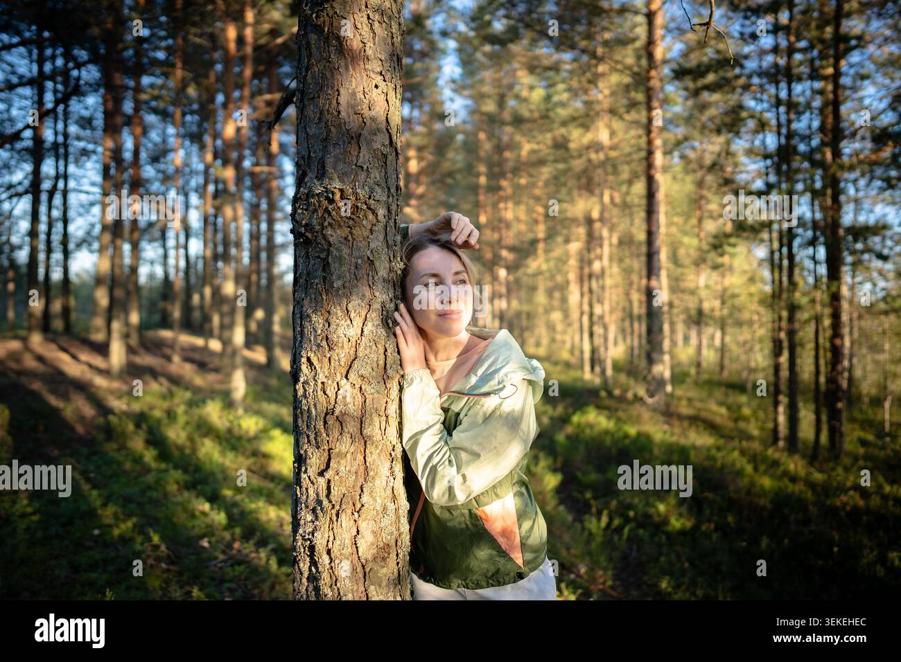 Entspannte Frau, die Baumstämme im Wald berührt und den Sonnenuntergang ansieht Stockfoto