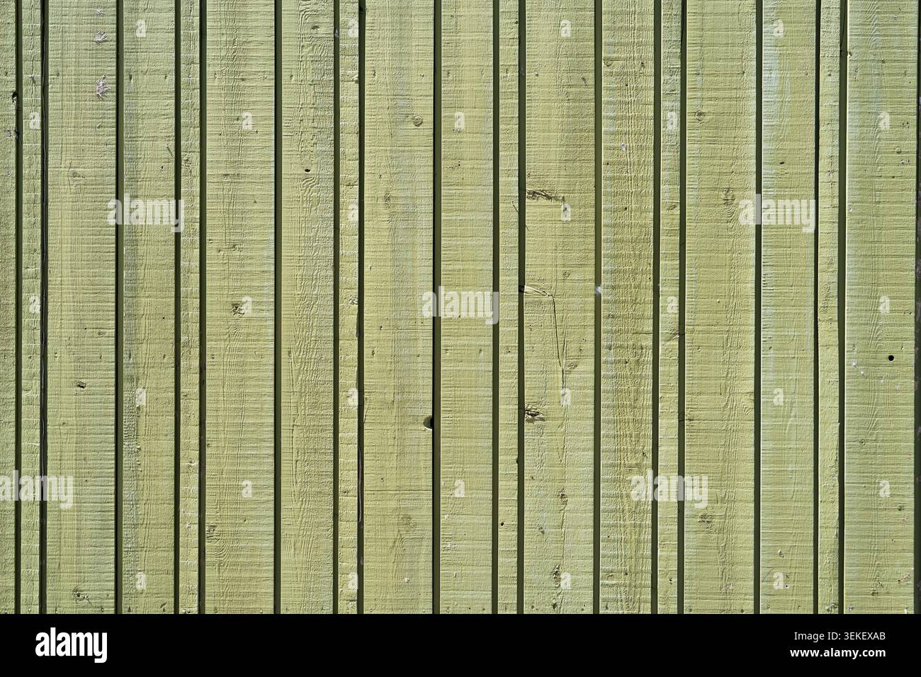 Nahaufnahme von vertikalen, grün lackierten Holzzaunplatten Stockfoto