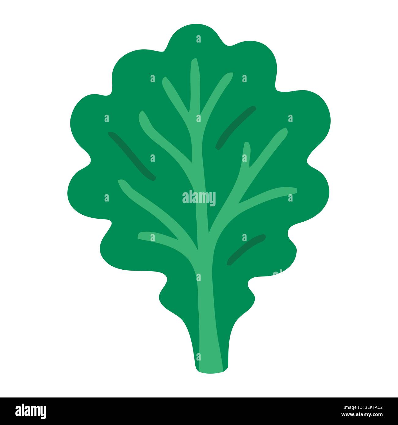 Eine einfache, flache Vektor-Illustration eines grünen Blattes mit welligem Rand und hellgrünen Adern, ideal für naturinspirierte Designs, botanische Kunst und Öko-Frien Stockfoto
