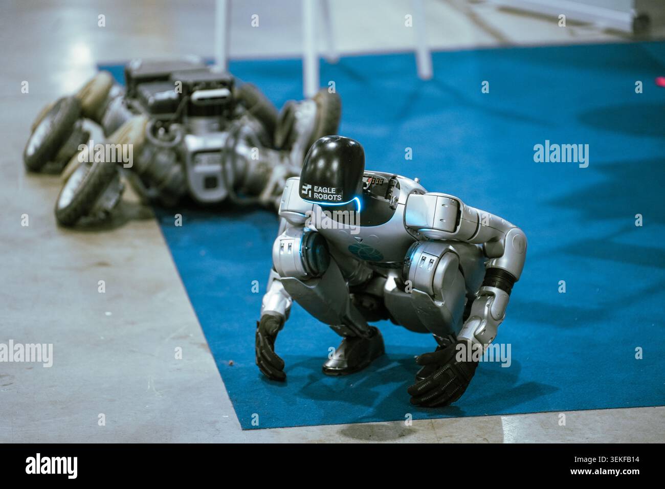 Ein humanoider mechanischer Roboter von Eagle Robots wird während einer automatisierten Techno in einer hockenden Position neben einer fahrbaren Roboterplattform gezeigt Stockfoto