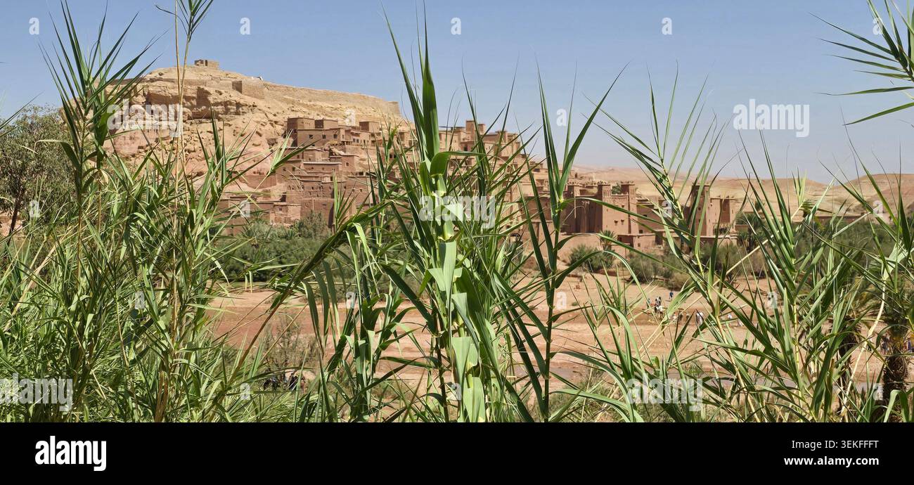 Ait Ben Haddou, Marokko – historisches Kasbah-Dorf, das zum UNESCO-Weltkulturerbe gehört und von Palmenhainen und Wüstenlandschaften umgeben ist. - Smartphone-aufgenommenes Stockfoto