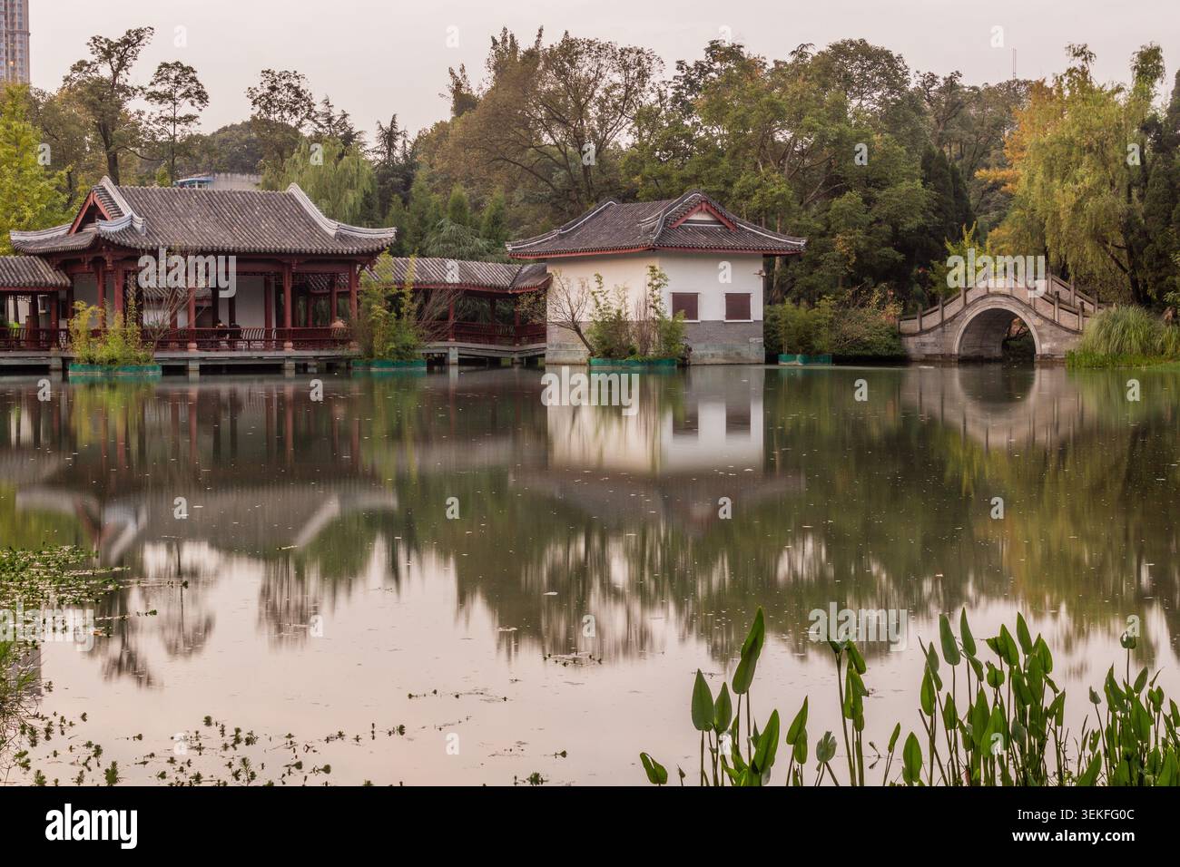 Teich auf dem Gelände des Wuhou-Tempels in Chengdu, China Stockfoto
