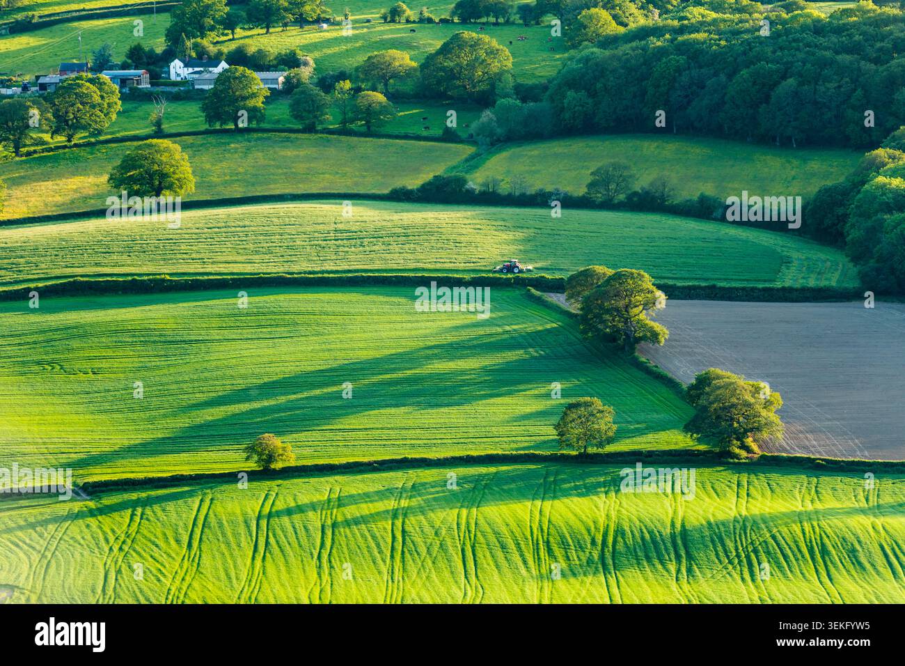 Frühlingsabend auf dem Land in der Nähe von Pontesford, Shropshire. Stockfoto