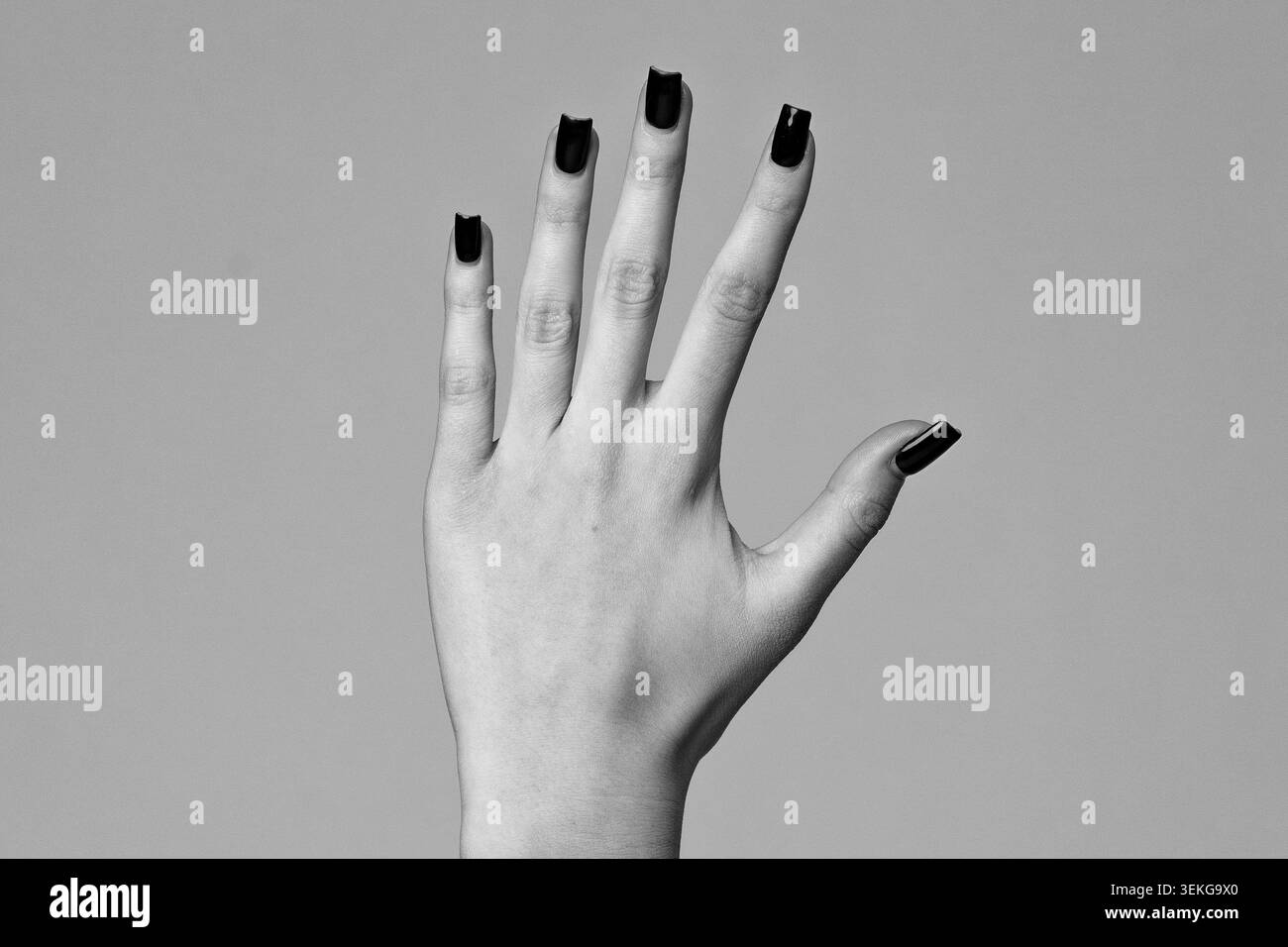 Die Hand mit schwarzem nagellack zeigt die Finger in Nahsicht vor einem glatten Hintergrund Stockfoto