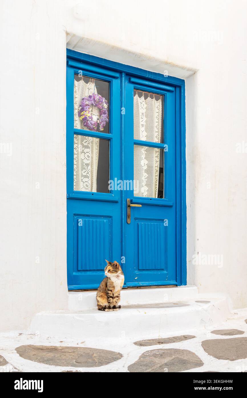 Streunende Katze und blaue Tür in Mykonos, Kykladen, Griechenland Stockfoto