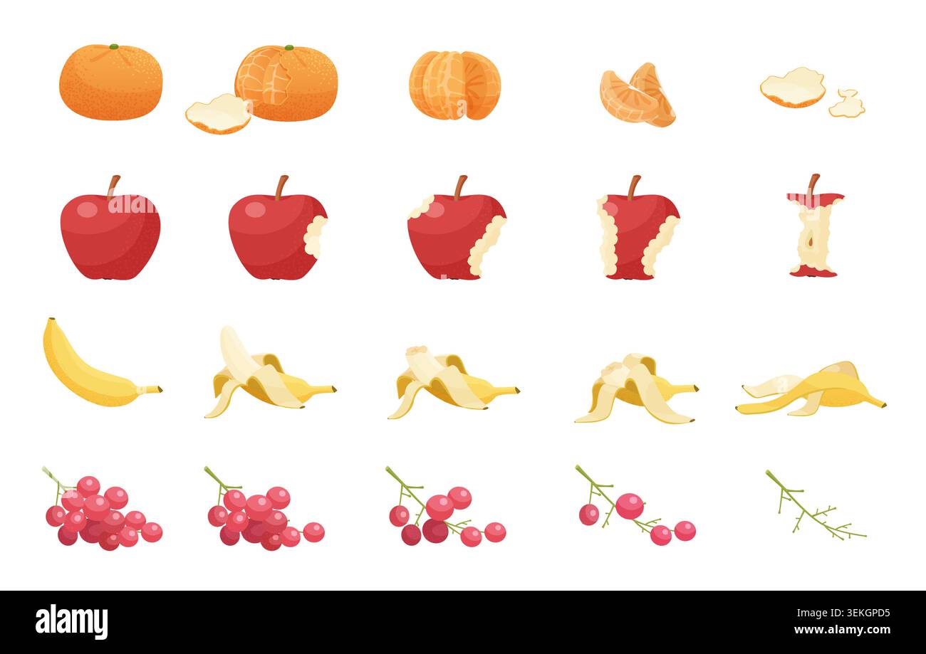 Sammlung von Orangen-, Apfel-, Bananen- und Kirschstufen, die ganze Frucht zu Resten und Schalen zeigen, isoliert auf weißem Hintergrund Vektorillustration Stock Vektor