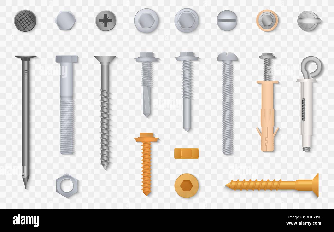 300 Stücke Schrauben Muttern Set, M3 Hex Einfaßungs Schrauben Set