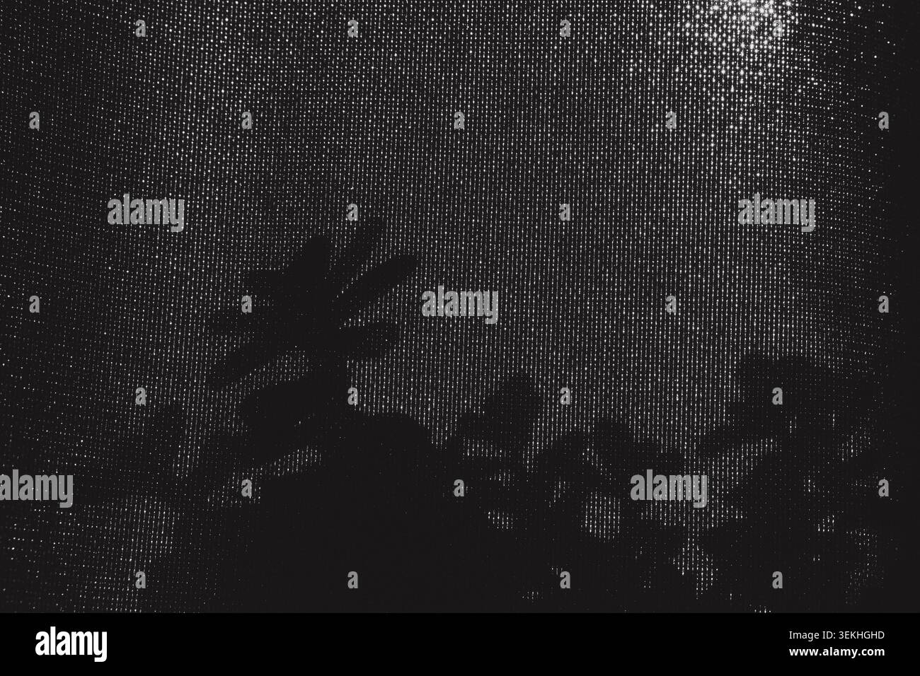 Pflanzensilhouetten, die Schatten auf strukturierte monochromatische Oberflächen mit hellem Licht werfen Stockfoto