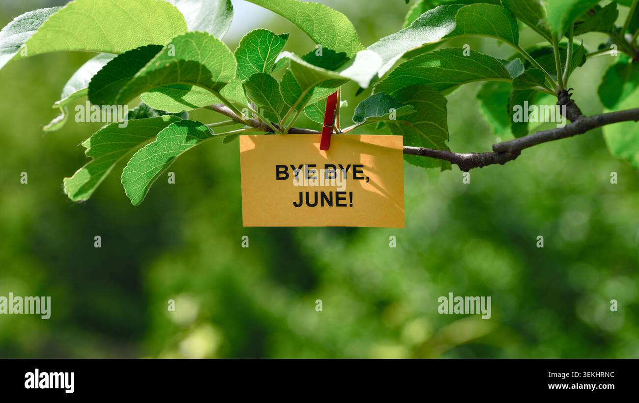 Eine gelbe Note mit den Worten Bye Bye, June! Auf dem Baum an einen grünen Zweig abgeschnitten. Nahaufnahme. Stockfoto