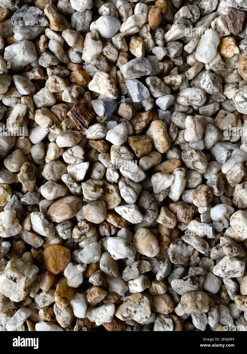 Nahaufnahme kleiner weißer und brauner Kieselsteine Stockfoto
